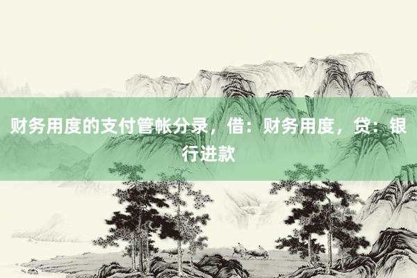 财务用度的支付管帐分录，借：财务用度，贷：银行进款