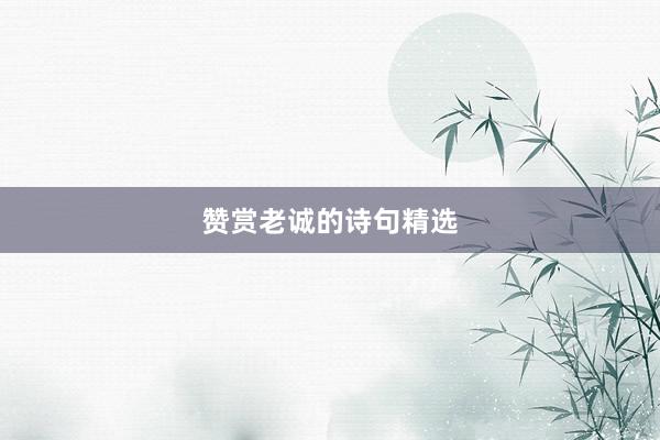 赞赏老诚的诗句精选