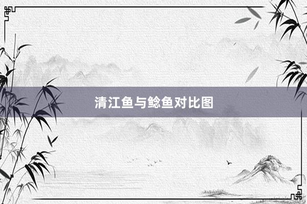 清江鱼与鲶鱼对比图