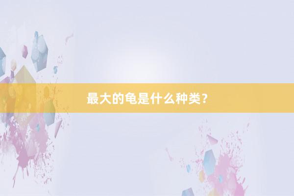 最大的龟是什么种类？